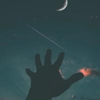 我是大熊猫观后感400字汇聚