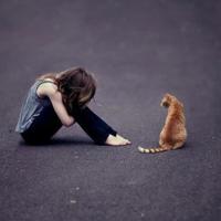 青少年法治观后感500字细选