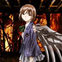 我们的节日八一读后感汇聚