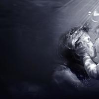 土壤资源学读后感集合