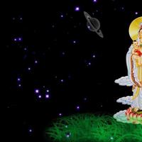 鲁西西传读后感50字以下汇合