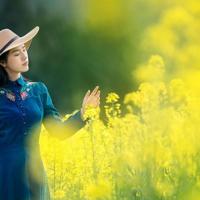 救救我悬疑小说观后感收集