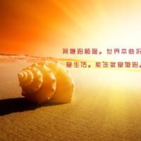 电影街头日记英文读后感选录