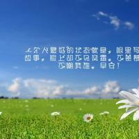 长袜子皮皮读后感200摘录