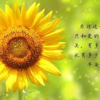 小学写读后感作文技巧汇聚