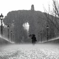 父母爱情观后感关于工作锦集