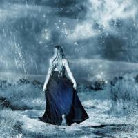 沈石溪的狼王梦读后感汇编