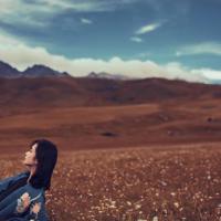 放烟花观后感五十字合集