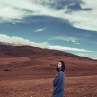 电影落叶归根观后感摘录