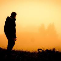 面对挫折为主题的读后感收集