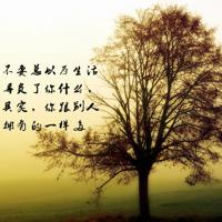 西窗法雨读后感1500字合集