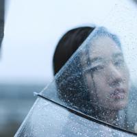 假如我有个弟弟读后感汇合