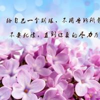 中国式离婚观后感整理