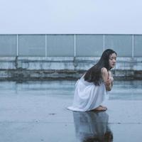 衬衣和皮鞋的读后感摘录