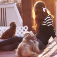 读档案管理书籍的读后感选录