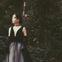 将军与蜘蛛读后感集合