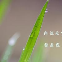 不谋而合成语故事读后感汇总