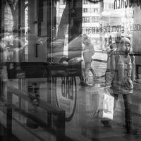 冬季到云南去看海的读后感汇聚