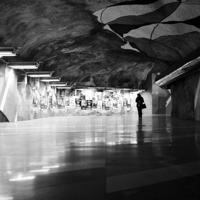 刀疤豺母的读后感题目集合