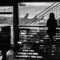 加菲猫双猫记观后感合计