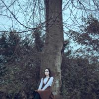 再见了拖拉读后感250字收集