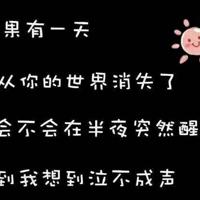 杰克与魔豆读后感汇集