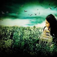 读后感三毛流浪记350集合