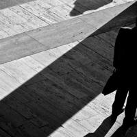 野鸭子故事读后感集合