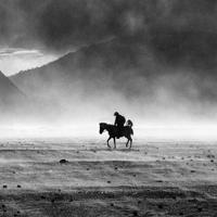 老师和学生的读后感收集