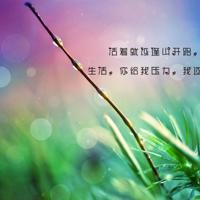 村上春树读后感500汇编