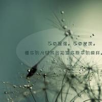 爱心树绘本读后感800锦集