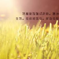 参观小学校园观后感整理