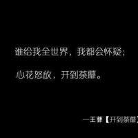 微电影正月观后感选录