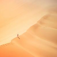 无体育不教育观后感整理