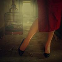 禁毒宣传片观后感400收集