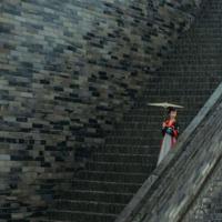 小学生见面礼仪读后感收集