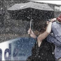 读后感最温暖的一句话选录