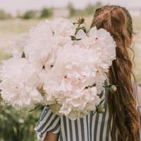 落难日记读后感100合计