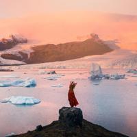 世上最美一朵玫瑰花读后感整理