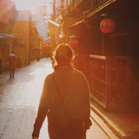 海豚湾500字读后感合计