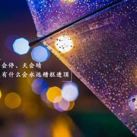 东纵纪念馆观后感100篇集合