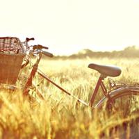 伊塔马历险记家长读后感汇聚