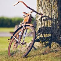 果味少女图鉴读后感合计