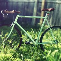 漂亮的小羊读后感汇总