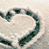 神灯的读后感300字选录