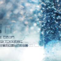 初心观后感600字左右聚集