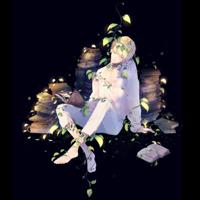 教学勇气序言读后感集合