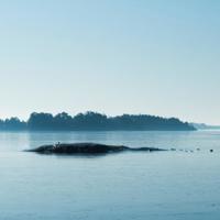 军训的观后感两百字以上集合