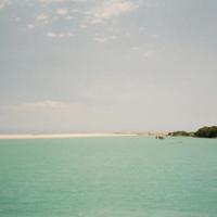 一年级观后感100字以上总汇