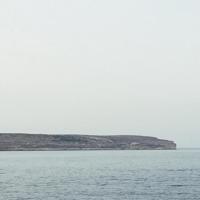 在疫中成长观后感聚集